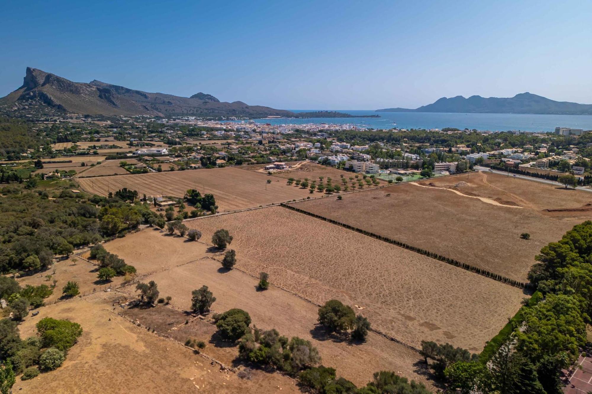 Mar Calma Puerto Pollensa